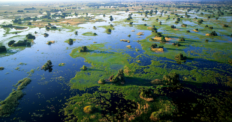 Aerial view of Okavango Delta's permanent floodplains, Botswana