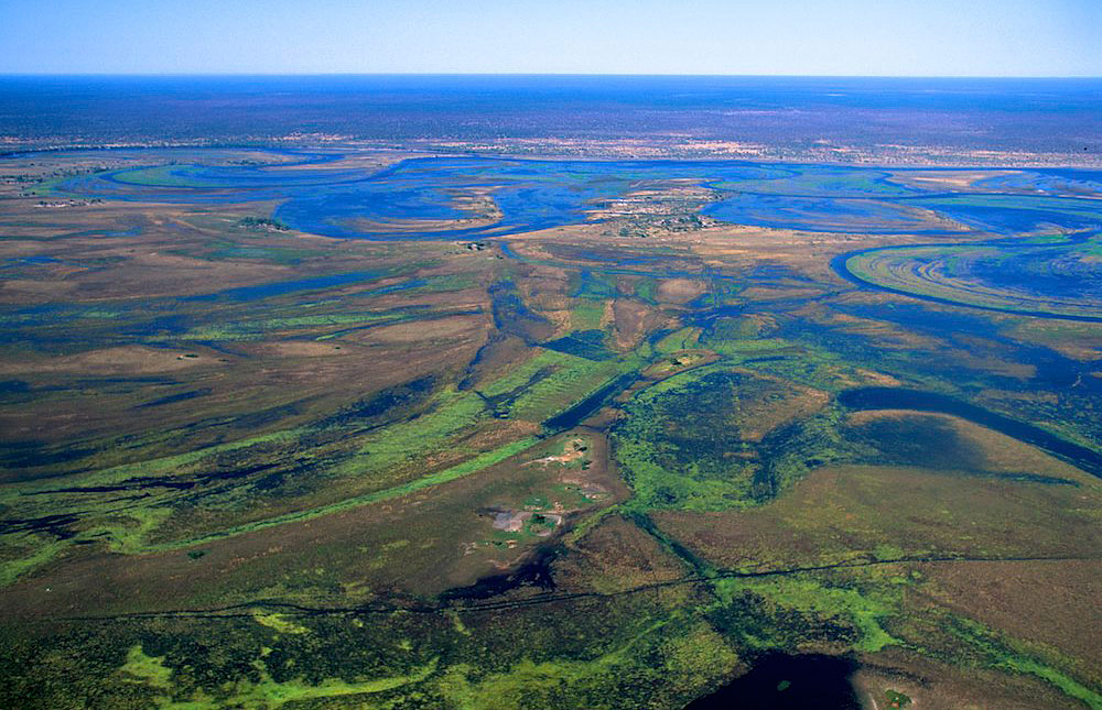 okavango_delta_079